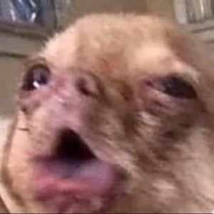 Meet your Posher, Maribel